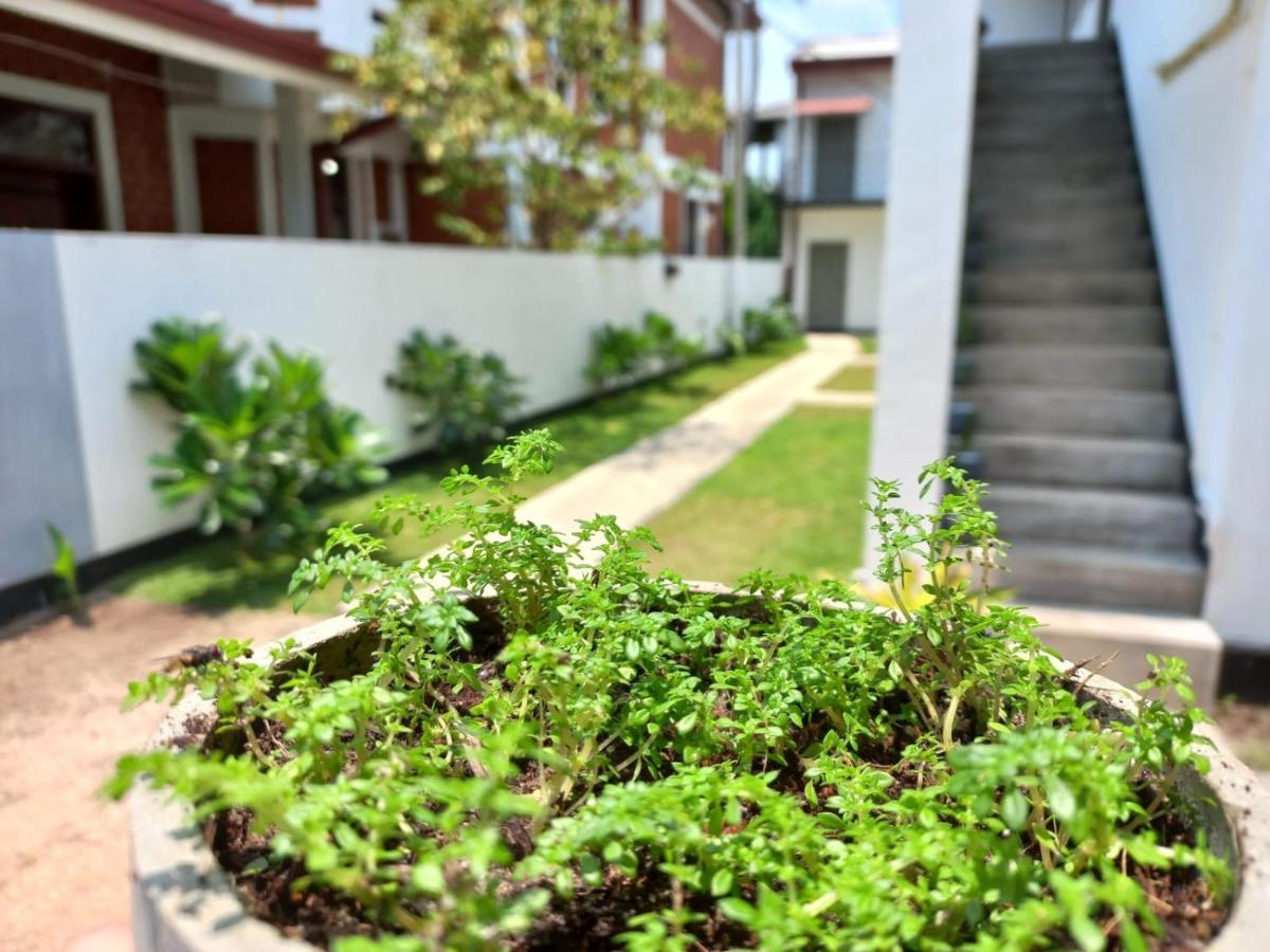 The Anchorage Holiday Apartments - Negombo Ngoại thất bức ảnh